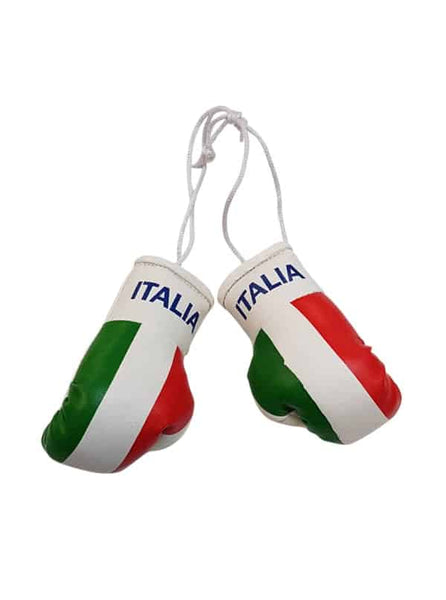 Italia Mini Boxing Gloves