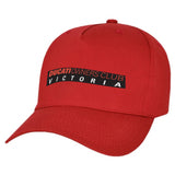DOCV BAND LOGO  - CAP