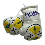 Calabria Mini Boxing Gloves